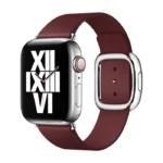 Apple watch 40 mm garnet modern buckle S